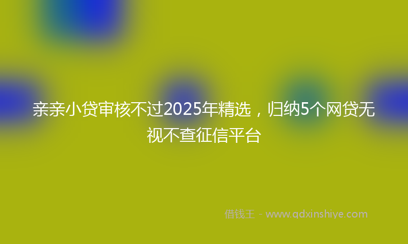 亲亲小贷审核不过2025年精选,归纳5个网贷无视不查征信平台