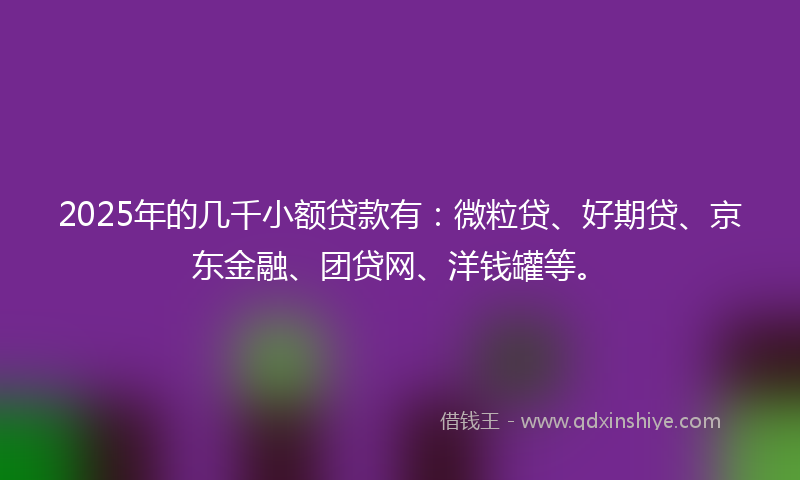 2025年的几千小额贷款有：微粒贷、好期贷、京东金融、团贷网、洋钱罐等。