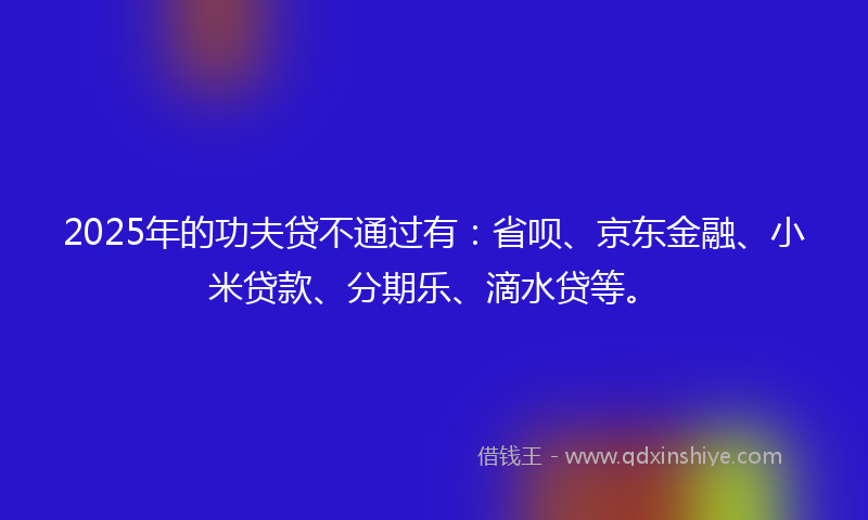 2025年的功夫贷不通过有：省呗、京东金融、小米贷款、分期乐、滴水贷等。
