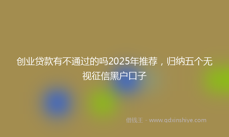创业贷款有不通过的吗2025年推荐，归纳五个无视征信黑户口子