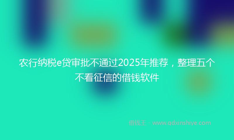 农行纳税e贷审批不通过2025年推荐，整理五个不看征信的借钱软件