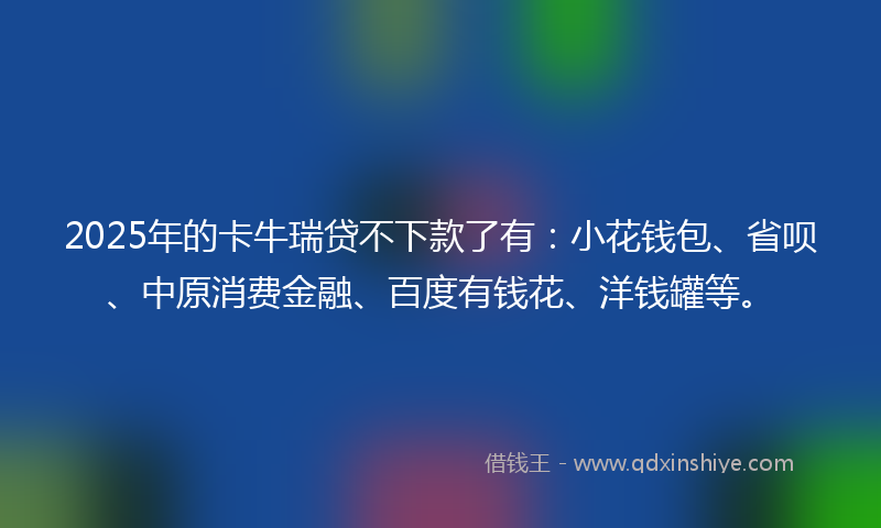 2025年的卡牛瑞贷不下款了有：小花钱包、省呗、中原消费金融、百度有钱花、洋钱罐等。