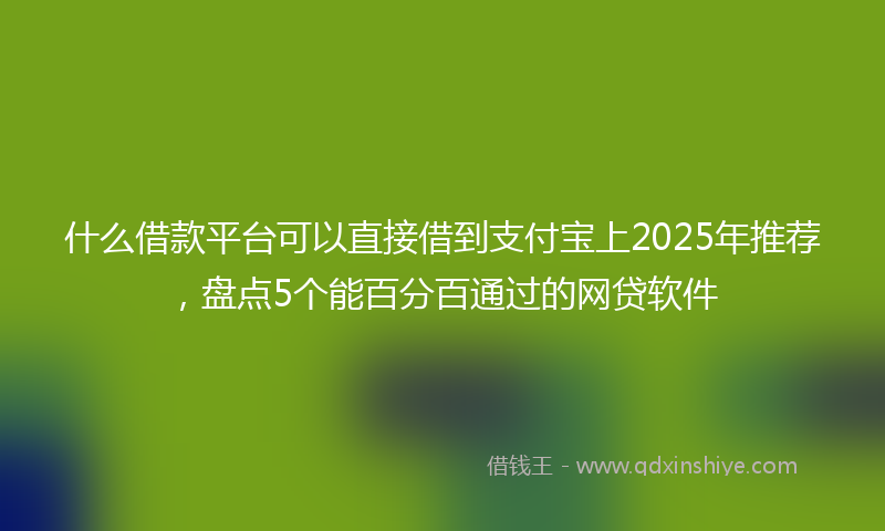 什么借款平台可以直接借到支付宝上2025年推荐，盘点5个能百分百通过的网贷软件