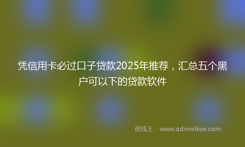 凭信用卡必过口子贷款2025年推荐，汇总五个黑户可以下的贷款软件