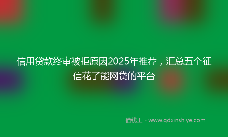 信用贷款终审被拒原因2025年推荐，汇总五个征信花了能网贷的平台