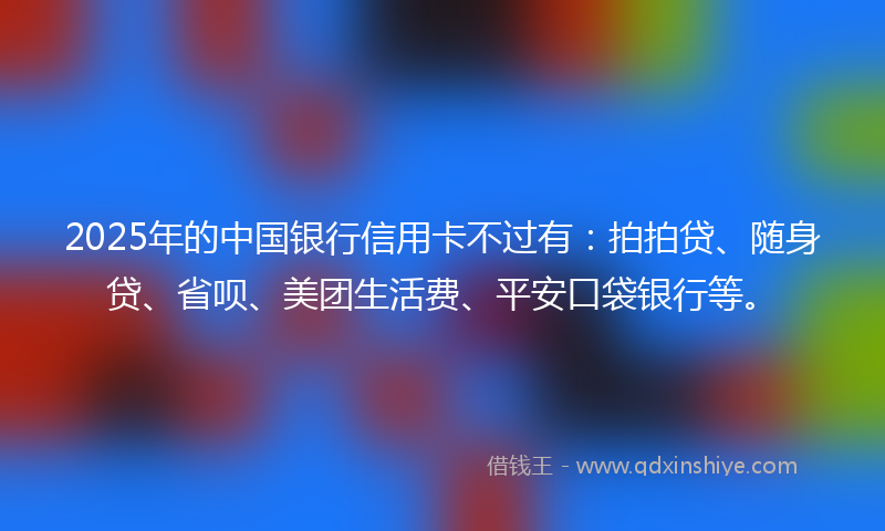 2025年的中国银行信用卡不过有：拍拍贷、随身贷、省呗、美团生活费、平安口袋银行等。