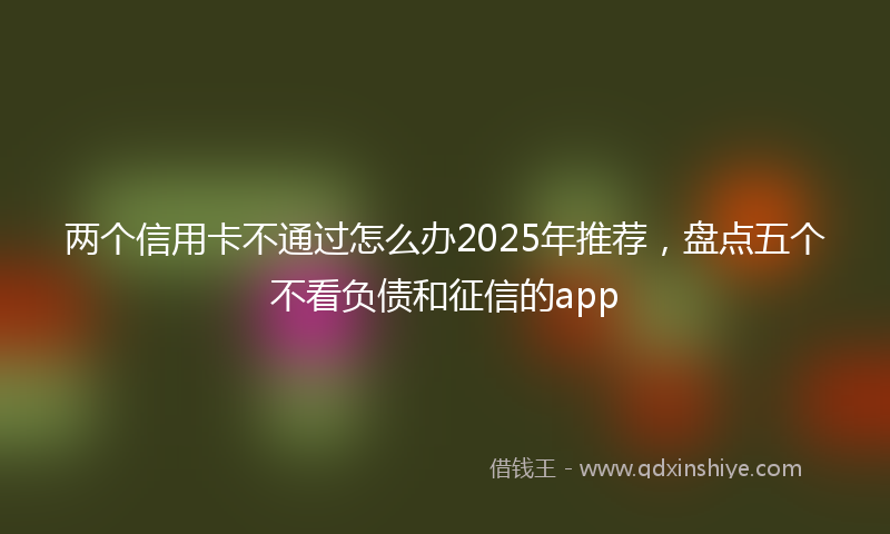 两个信用卡不通过怎么办2025年推荐,盘点五个不看负债和征信的app
