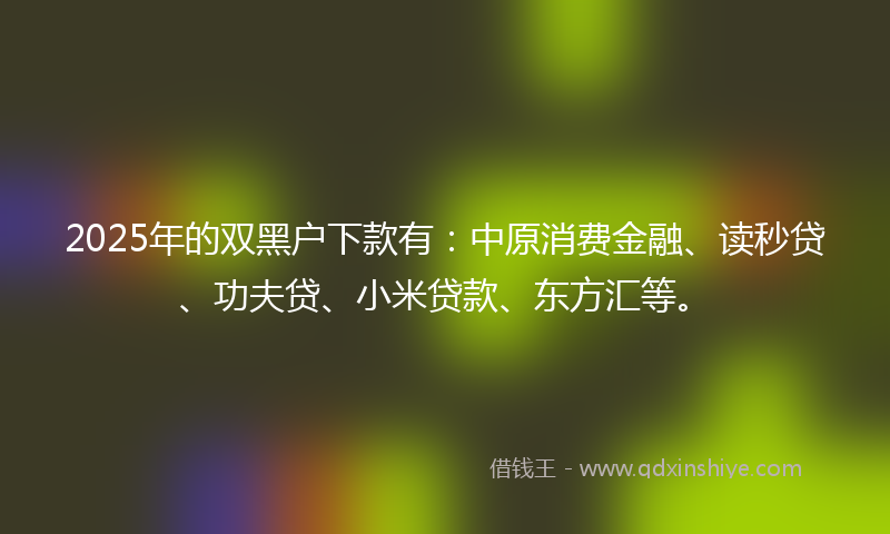 2025年的双黑户下款有：中原消费金融、读秒贷、功夫贷、小米贷款、东方汇等。