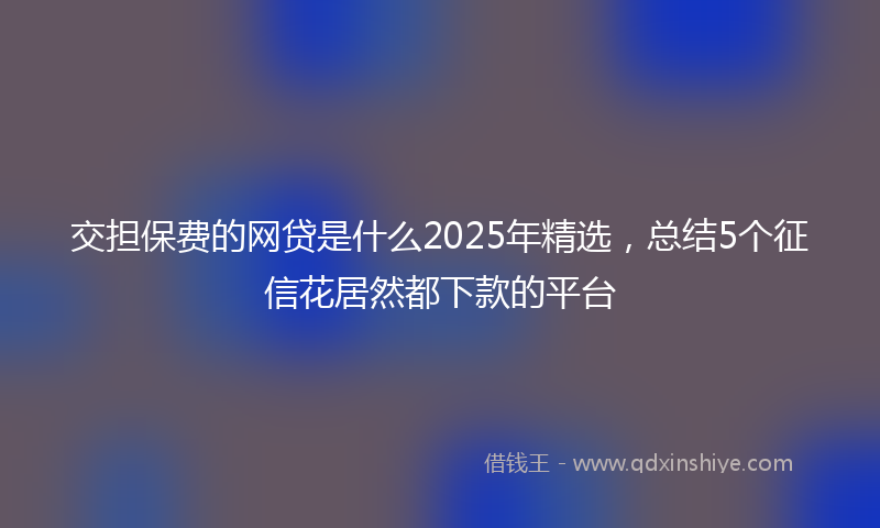 交担保费的网贷是什么2025年精选，总结5个征信花居然都下款的平台