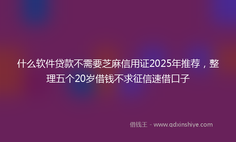 什么软件贷款不需要芝麻信用证2025年推荐，整理五个20岁借钱不求征信速借口子
