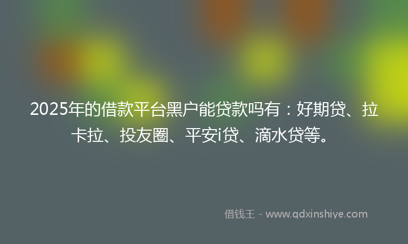 2025年的借款平台黑户能贷款吗有：好期贷、拉卡拉、投友圈、平安i贷、滴水贷等。