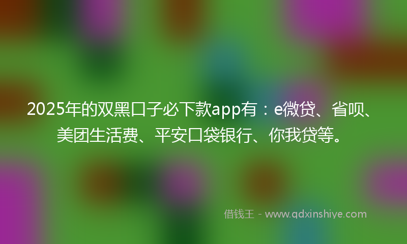 2025年的双黑口子必下款app有：e微贷、省呗、美团生活费、平安口袋银行、你我贷等。