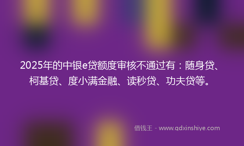 2025年的中银e贷额度审核不通过有：随身贷、柯基贷、度小满金融、读秒贷、功夫贷等。