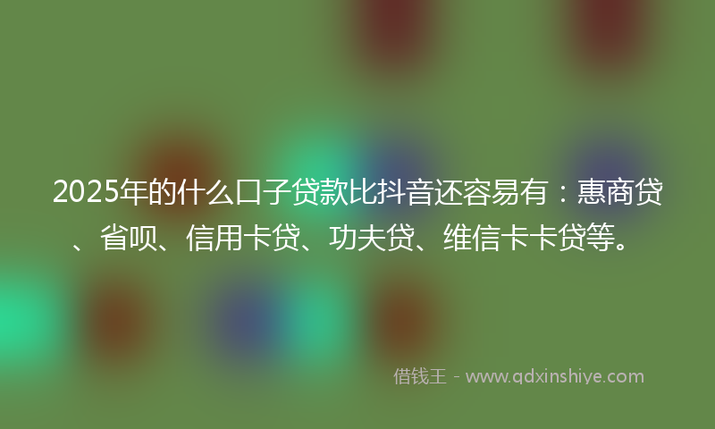 2025年的什么口子贷款比抖音还容易有：惠商贷、省呗、信用卡贷、功夫贷、维信卡卡贷等。