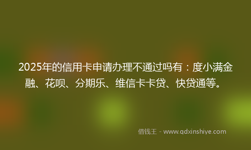 2025年的信用卡申请办理不通过吗有：度小满金融、花呗、分期乐、维信卡卡贷、快贷通等。
