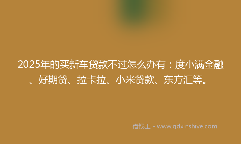 2025年的买新车贷款不过怎么办有：度小满金融、好期贷、拉卡拉、小米贷款、东方汇等。