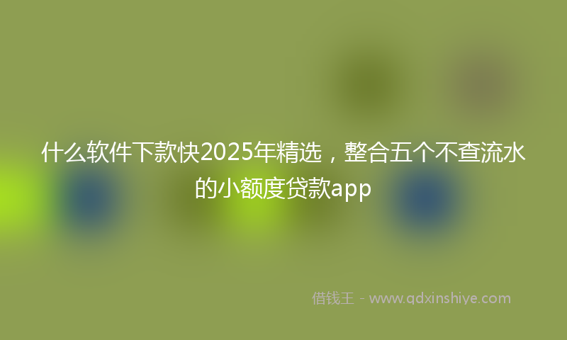 什么软件下款快2025年精选，整合五个不查流水的小额度贷款app