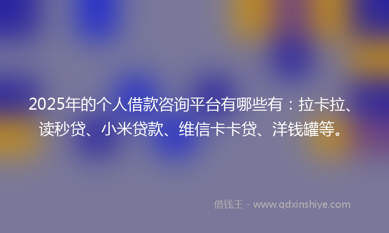 2025年的个人借款咨询平台有哪些有：拉卡拉、读秒贷、小米贷款、维信卡卡贷、洋钱罐等。