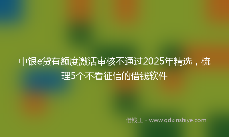 中银e贷有额度激活审核不通过2025年精选，梳理5个不看征信的借钱软件