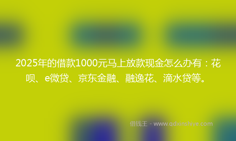 2025年的借款1000元马上放款现金怎么办有：花呗、e微贷、京东金融、融逸花、滴水贷等。