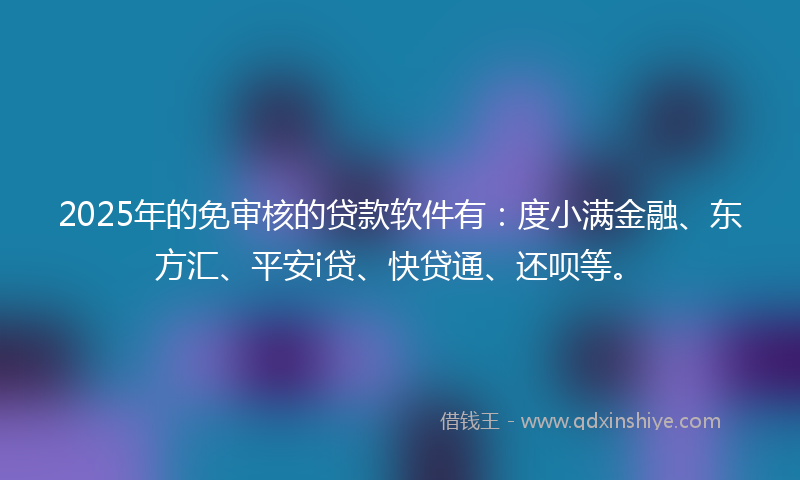 2025年的免审核的贷款软件有：度小满金融、东方汇、平安i贷、快贷通、还呗等。