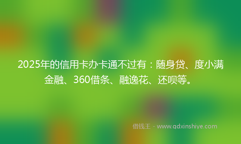 2025年的信用卡办卡通不过有：随身贷、度小满金融、360借条、融逸花、还呗等。