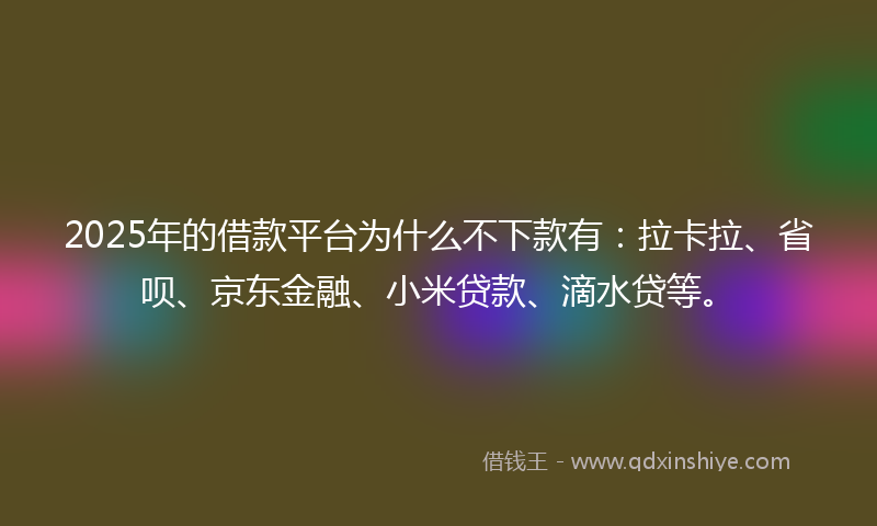 2025年的借款平台为什么不下款有：拉卡拉、省呗、京东金融、小米贷款、滴水贷等。