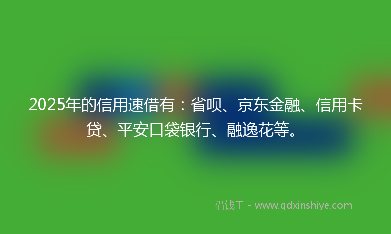 2025年的信用速借有：省呗、京东金融、信用卡贷、平安口袋银行、融逸花等。