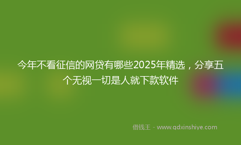 今年不看征信的网贷有哪些2025年精选，分享五个无视一切是人就下款软件