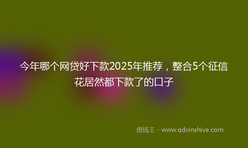 今年哪个网贷好下款2025年推荐，整合5个征信花居然都下款了的口子