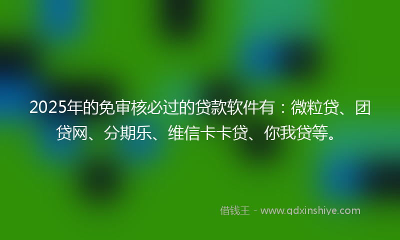 2025年的免审核必过的贷款软件有：微粒贷、团贷网、分期乐、维信卡卡贷、你我贷等。