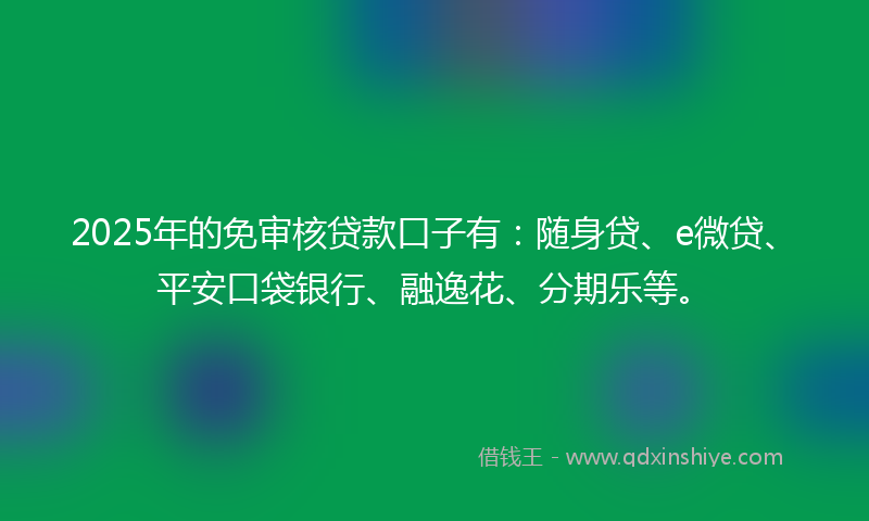 2025年的免审核贷款口子有：随身贷、e微贷、平安口袋银行、融逸花、分期乐等。