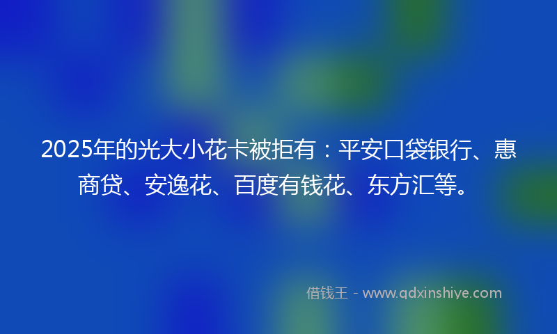 2025年的光大小花卡被拒有：平安口袋银行、惠商贷、安逸花、百度有钱花、东方汇等。
