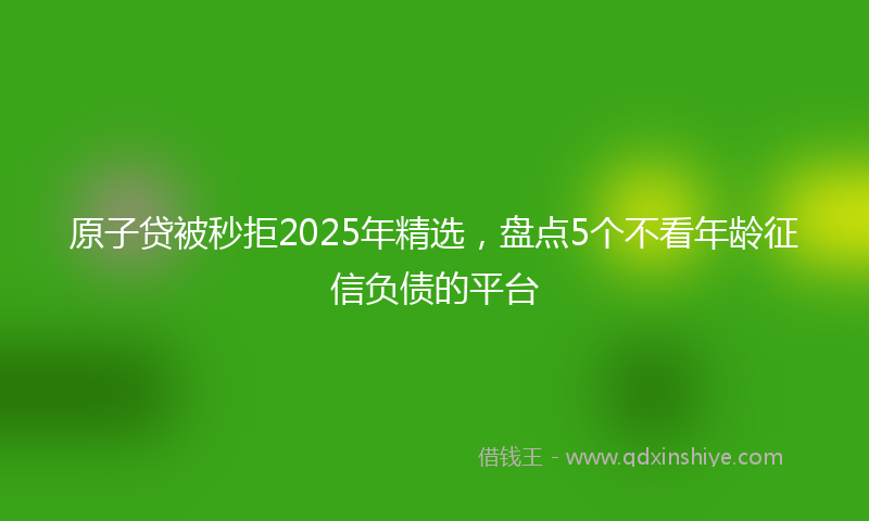 原子贷被秒拒2025年精选，盘点5个不看年龄征信负债的平台