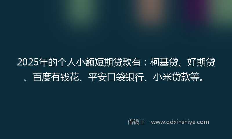 2025年的个人小额短期贷款有：柯基贷、好期贷、百度有钱花、平安口袋银行、小米贷款等。