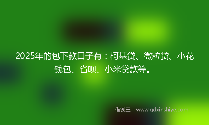 2025年的包下款口子有：柯基贷、微粒贷、小花钱包、省呗、小米贷款等。