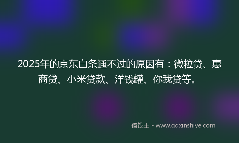 2025年的京东白条通不过的原因有：微粒贷、惠商贷、小米贷款、洋钱罐、你我贷等。