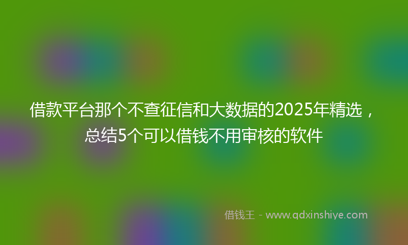 借款平台那个不查征信和大数据的2025年精选，总结5个可以借钱不用审核的软件