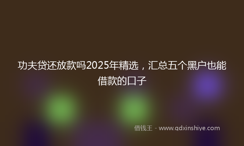 功夫贷还放款吗2025年精选，汇总五个黑户也能借款的口子