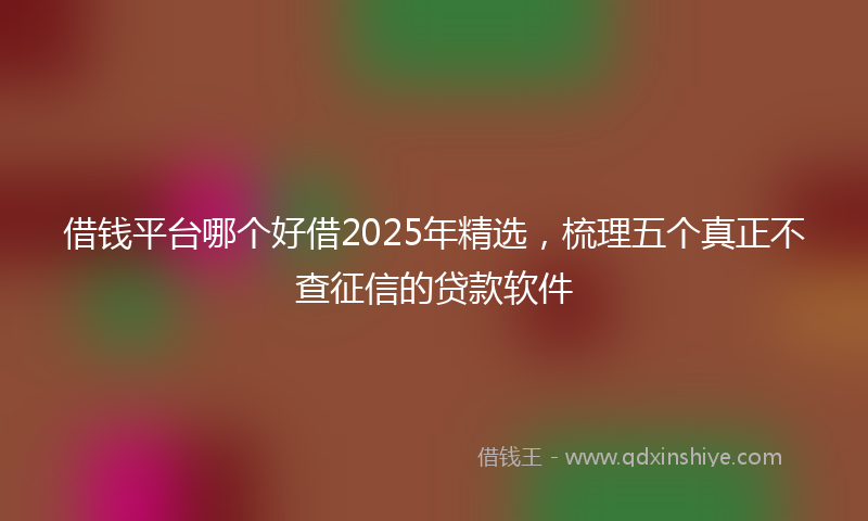 借钱平台哪个好借2025年精选，梳理五个真正不查征信的贷款软件