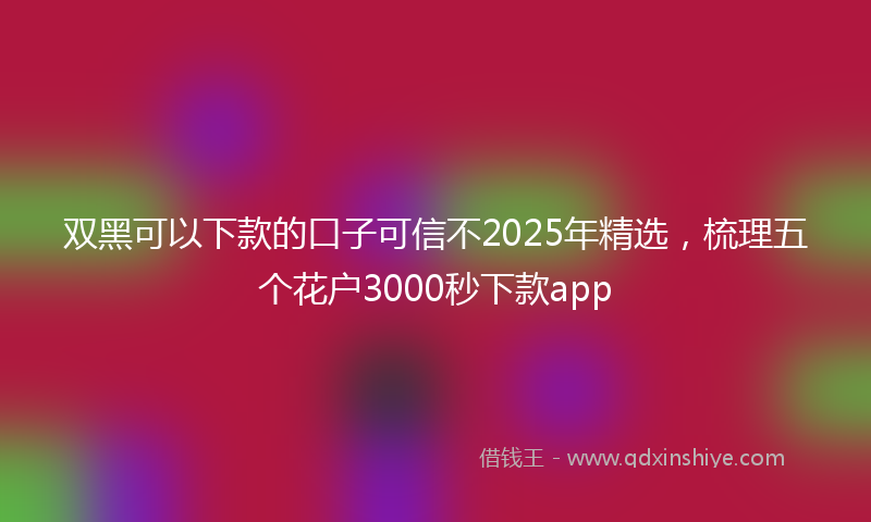 双黑可以下款的口子可信不2025年精选，梳理五个花户3000秒下款app