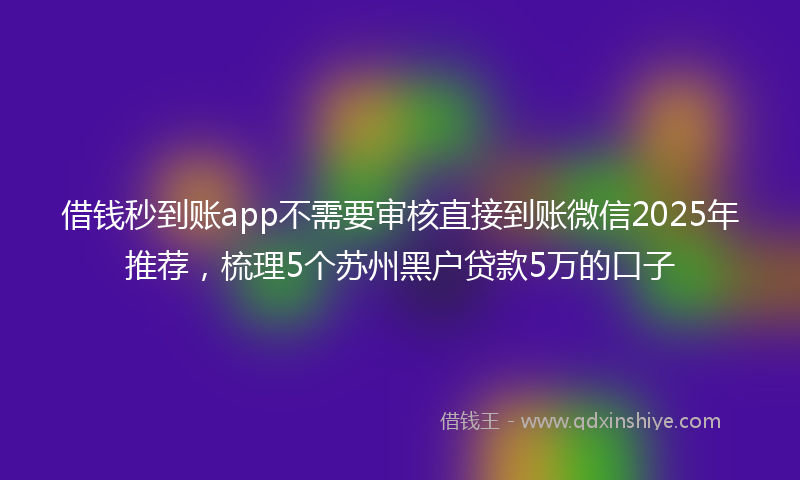 借钱秒到账app不需要审核直接到账微信2025年推荐，梳理5个苏州黑户贷款5万的口子