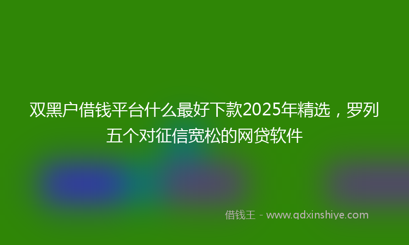 双黑户借钱平台什么最好下款2025年精选，罗列五个对征信宽松的网贷软件