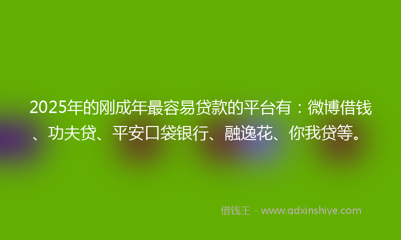 2025年的刚成年最容易贷款的平台有：微博借钱、功夫贷、平安口袋银行、融逸花、你我贷等。