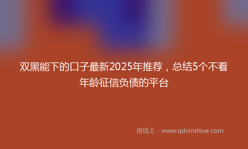 双黑能下的口子最新2025年推荐，总结5个不看年龄征信负债的平台