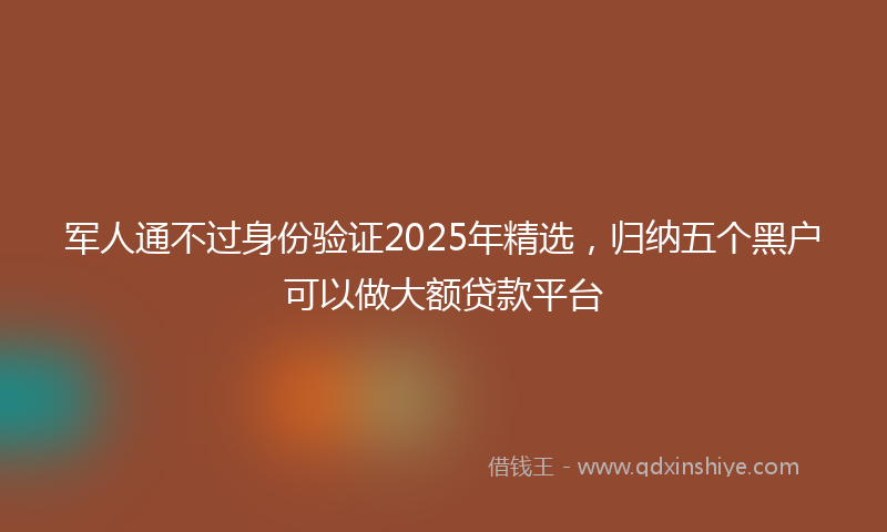军人通不过身份验证2025年精选，归纳五个黑户可以做大额贷款平台
