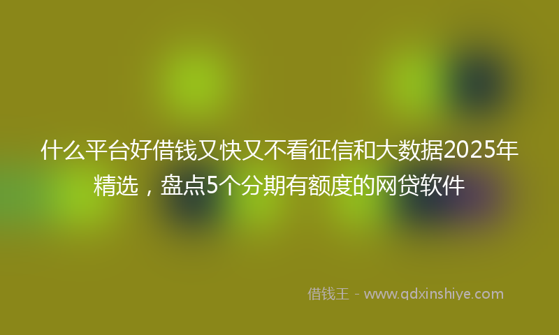 什么平台好借钱又快又不看征信和大数据2025年精选，盘点5个分期有额度的网贷软件