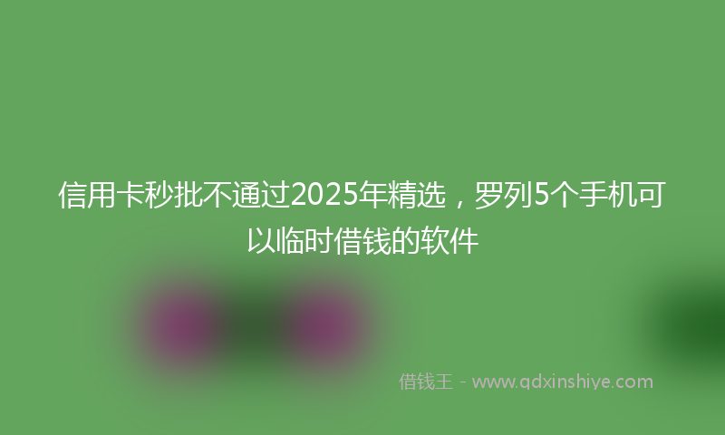 信用卡秒批不通过2025年精选，罗列5个手机可以临时借钱的软件