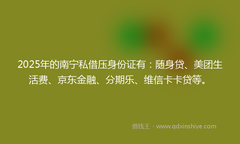 2025年的南宁私借压身份证有：随身贷、美团生活费、京东金融、分期乐、维信卡卡贷等。