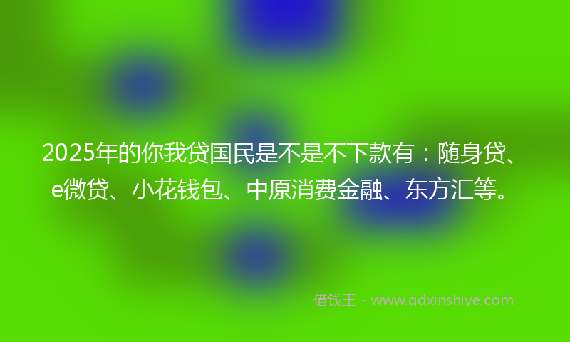 2025年的你我贷国民是不是不下款有：随身贷、e微贷、小花钱包、中原消费金融、东方汇等。